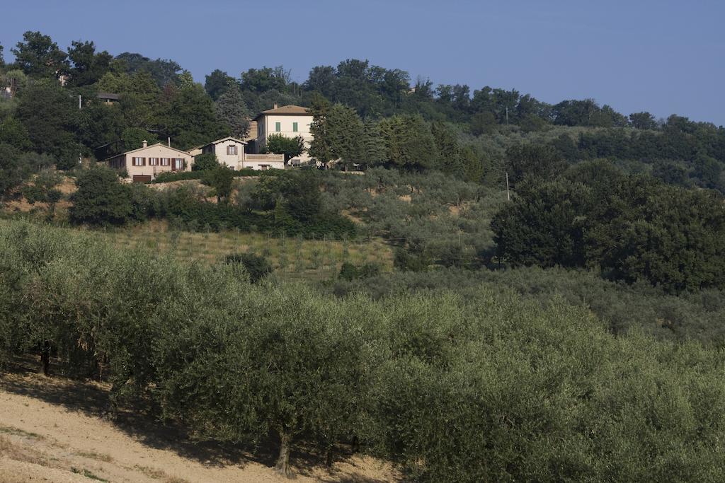 Agriturismo Il Girasole Montefalco Ngoại thất bức ảnh