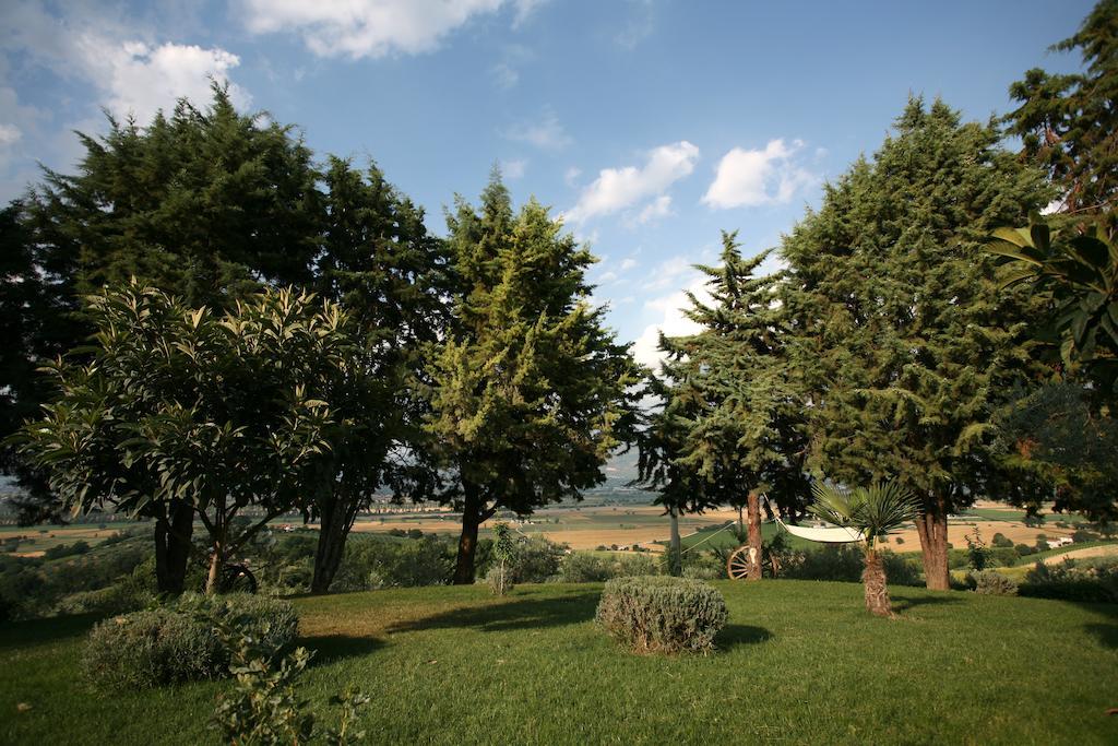 Agriturismo Il Girasole Montefalco Phòng bức ảnh
