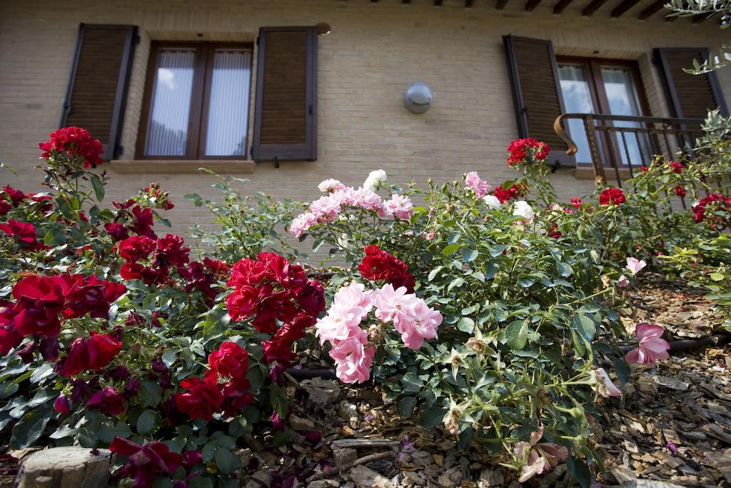 Agriturismo Il Girasole Montefalco Phòng bức ảnh