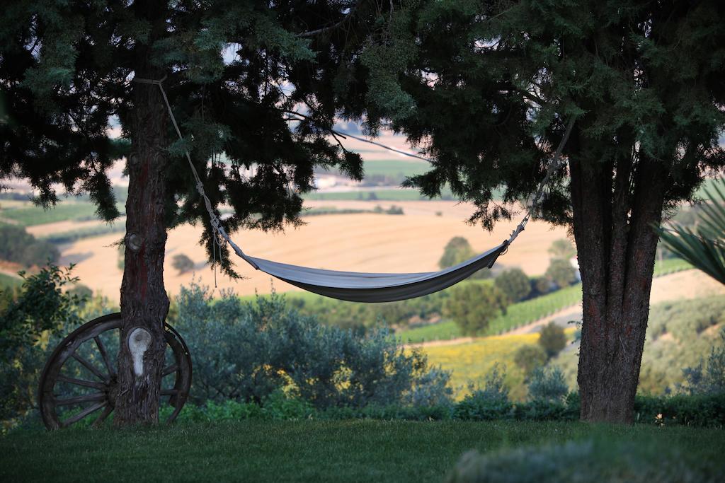 Agriturismo Il Girasole Montefalco Ngoại thất bức ảnh