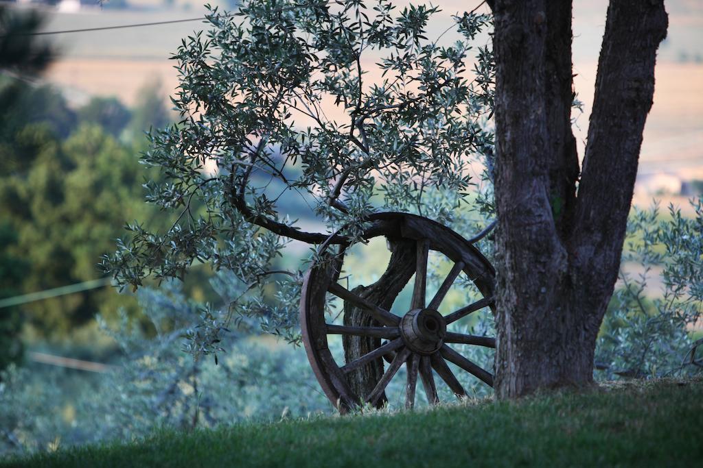 Agriturismo Il Girasole Montefalco Ngoại thất bức ảnh