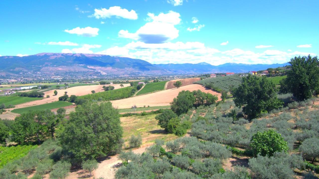 Agriturismo Il Girasole Montefalco Ngoại thất bức ảnh